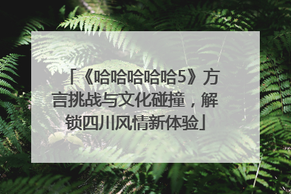 《哈哈哈哈哈5》方言挑战与文化碰撞，解锁四川风情新体验