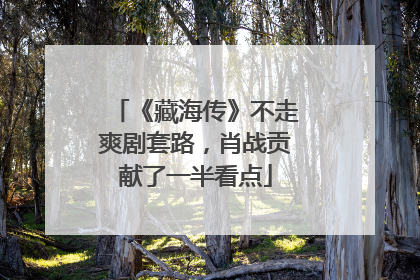 《藏海传》不走爽剧套路，肖战贡献了一半看点