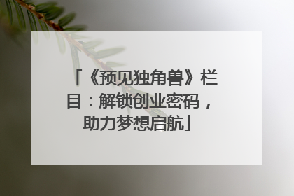 《预见独角兽》栏目：解锁创业密码，助力梦想启航