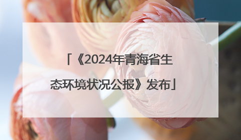 《2024年青海省生态环境状况公报》发布