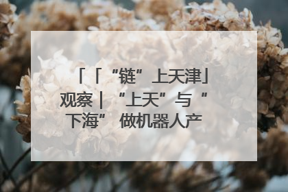 「“链”上天津」观察｜“上天”与“下海” 做机器人产业链细分领域强者