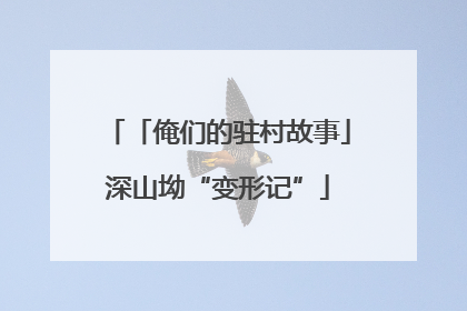 「俺们的驻村故事」深山坳“变形记”