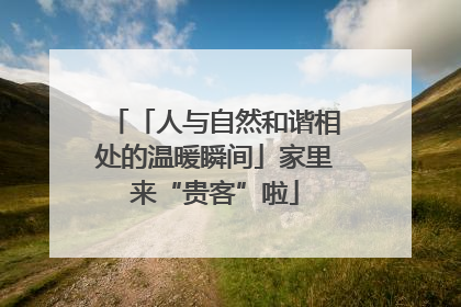 「人与自然和谐相处的温暖瞬间」家里来“贵客”啦