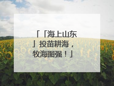 「海上山东」投苗耕海，牧海图强！