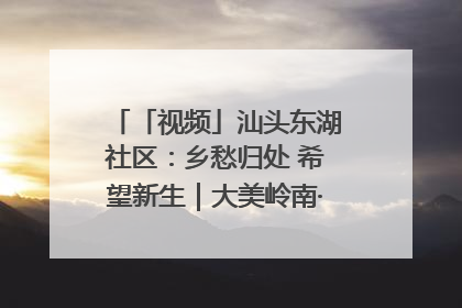 「视频」汕头东湖社区：乡愁归处 希望新生｜大美岭南·百村焕新记