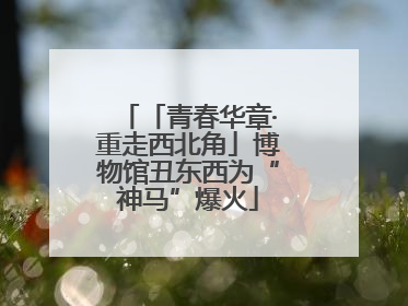 「青春华章·重走西北角」博物馆丑东西为“神马”爆火