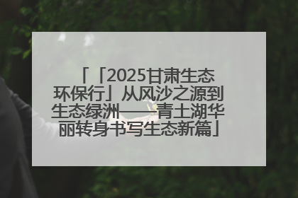 「2025甘肃生态环保行」从风沙之源到生态绿洲——青土湖华丽转身书写生态新篇