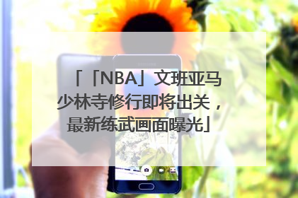 「NBA」文班亚马少林寺修行即将出关,最新练武画面曝光