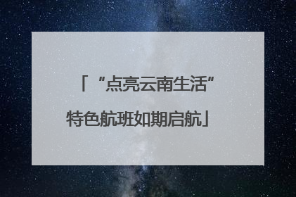 “点亮云南生活”特色航班如期启航