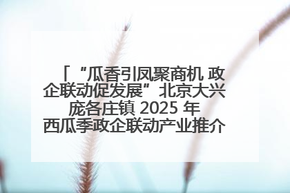 “瓜香引凤聚商机 政企联动促发展”北京大兴庞各庄镇 2025 年西瓜季政企联动产业推介活动圆满举行