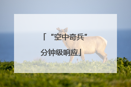 “空中奇兵”分钟级响应