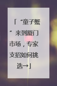 “童子蟹”来到厦门市场，专家支招如何挑选→