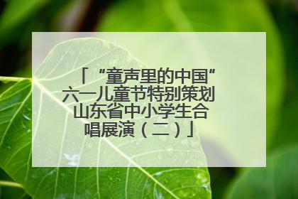 “童声里的中国”六一儿童节特别策划 山东省中小学生合唱展演（二）