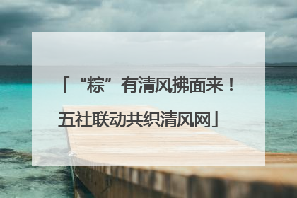 “粽”有清风拂面来！五社联动共织清风网