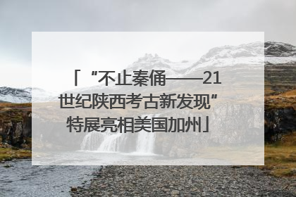 “不止秦俑——21世纪陕西考古新发现”特展亮相美国加州