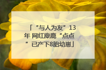 “与人为友”13年 网红麋鹿“点点”已产下8胎幼崽