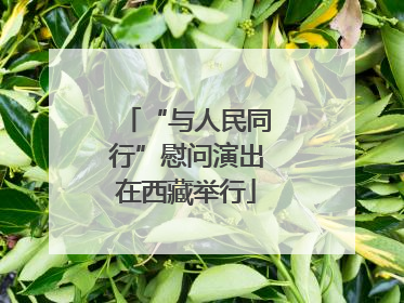 “与人民同行”慰问演出在西藏举行