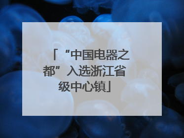 “中国电器之都”入选浙江省级中心镇
