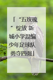 “五玫瑰”绽放 新城小学混编少年足球队勇夺四强