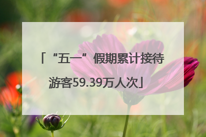 “五一”假期累计接待游客59.39万人次
