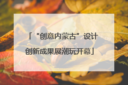 “创意内蒙古”设计创新成果展潮玩开幕