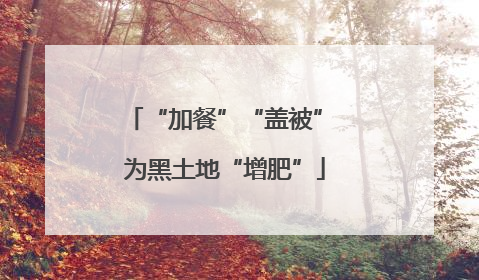 “加餐”“盖被” 为黑土地“增肥”