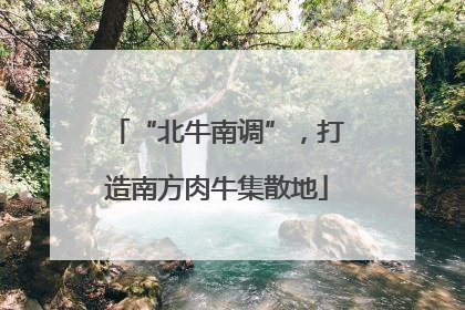 “北牛南调”，打造南方肉牛集散地