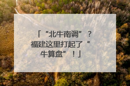 “北牛南调”？福建这里打起了“牛算盘”！