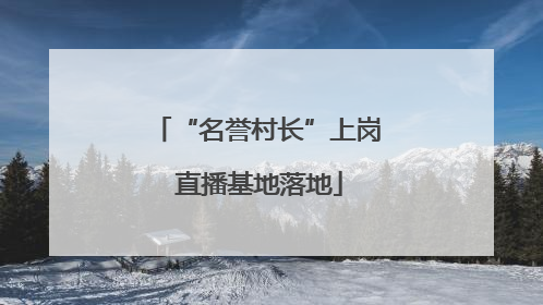“名誉村长”上岗 直播基地落地