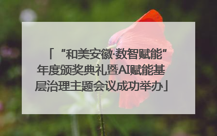 “和美安徽·数智赋能”年度颁奖典礼暨AI赋能基层治理主题会议成功举办