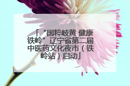 “国粹岐黄 健康铁岭”辽宁省第二届中医药文化夜市（铁岭站）启动