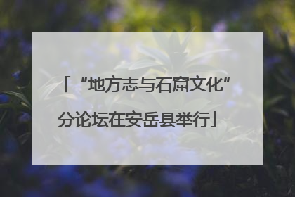 “地方志与石窟文化”分论坛在安岳县举行