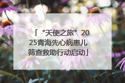 “天使之旅”2025青海先心病患儿筛查救助行动启动