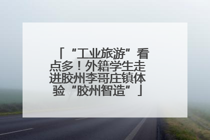 “工业旅游”看点多！外籍学生走进胶州李哥庄镇体验“胶州智造”