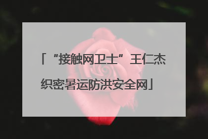 “接触网卫士”王仁杰织密暑运防洪安全网