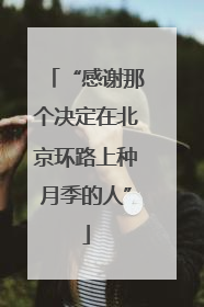 “感谢那个决定在北京环路上种月季的人”