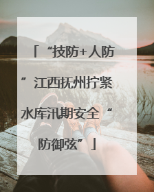 “技防+人防”江西抚州拧紧水库汛期安全“防御弦”