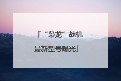 “枭龙”战机最新型号曝光