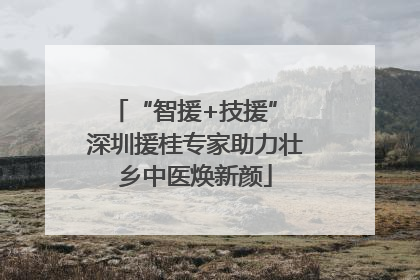 “智援+技援” 深圳援桂专家助力壮乡中医焕新颜