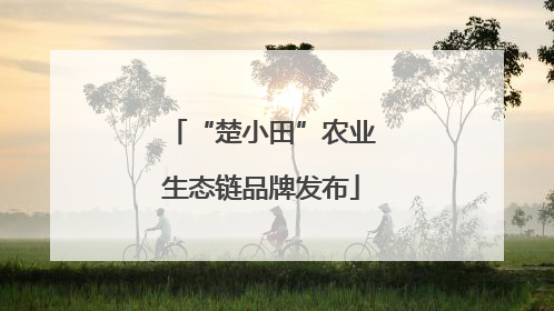 “楚小田”农业生态链品牌发布