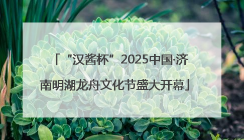 “汉酱杯”2025中国·济南明湖龙舟文化节盛大开幕