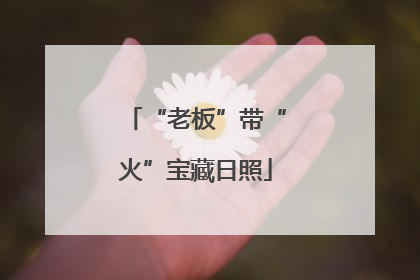 “老板”带“火”宝藏日照