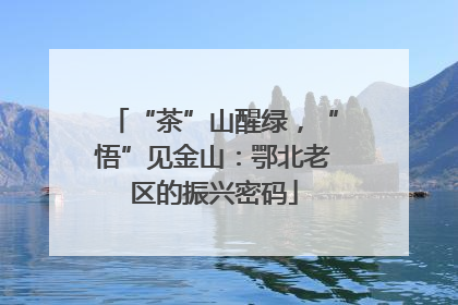 “茶”山醒绿，“悟”见金山：鄂北老区的振兴密码