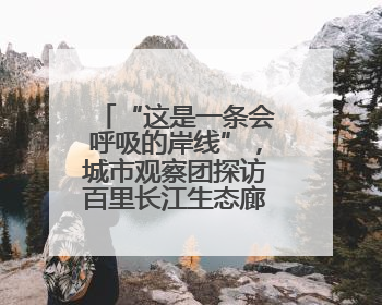 “这是一条会呼吸的岸线”，城市观察团探访百里长江生态廊道青山段
