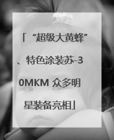 “超级大黄蜂”、特色涂装苏-30MKM 众多明星装备亮相