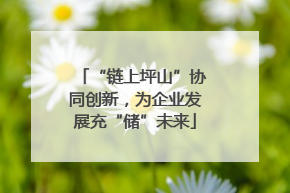 “链上坪山”协同创新，为企业发展充“储”未来