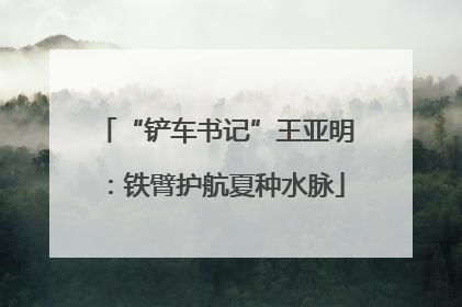 “铲车书记”王亚明：铁臂护航夏种水脉