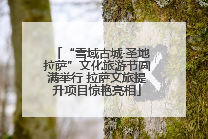 “雪域古城·圣地拉萨”文化旅游节圆满举行 拉萨文旅提升项目惊艳亮相