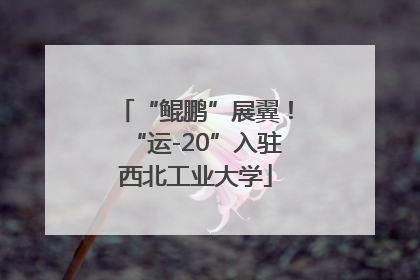 “鲲鹏”展翼！“运-20”入驻西北工业大学