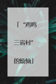 “鸡鸣三省村”的烦恼